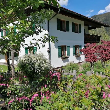 Ferienwohnungen Asterbach Гозау Экстерьер фото