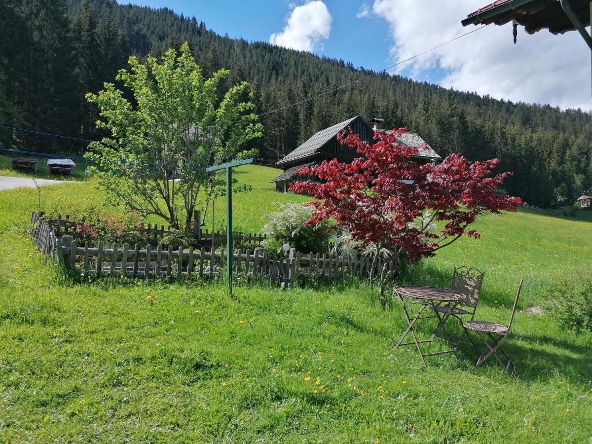 Ferienwohnungen Asterbach Гозау Экстерьер фото