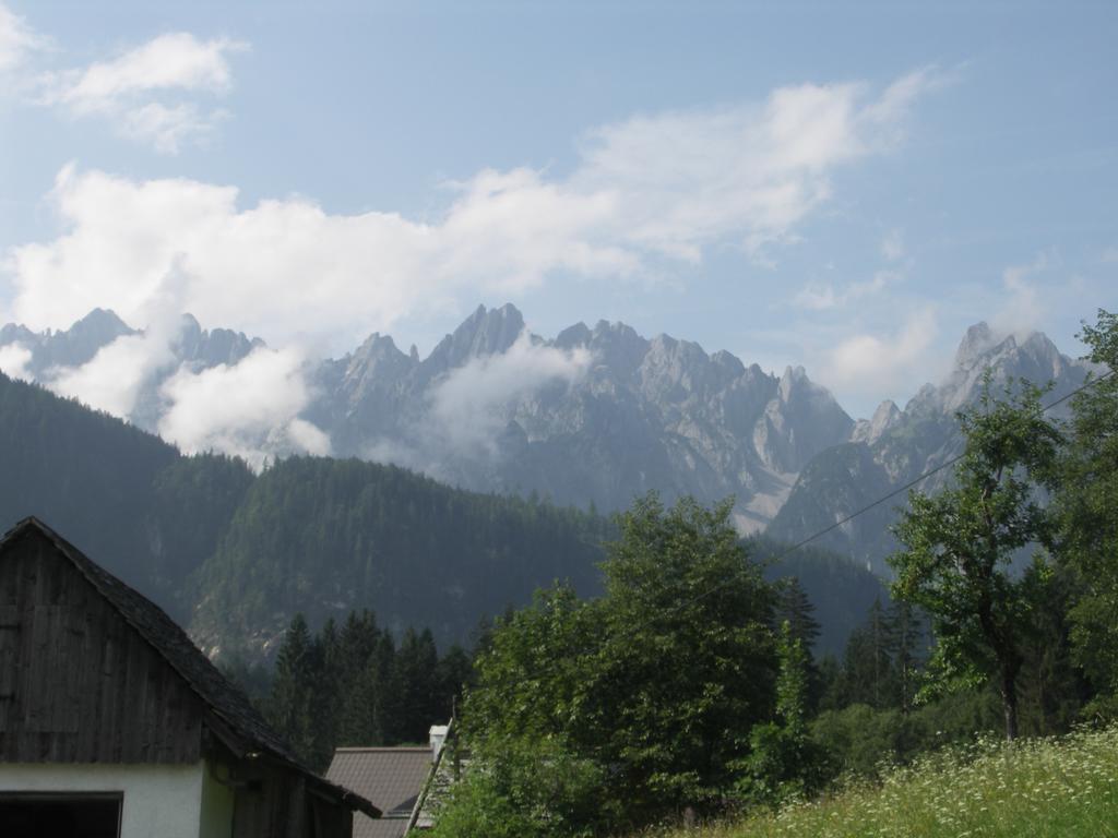 Ferienwohnungen Asterbach Гозау Экстерьер фото